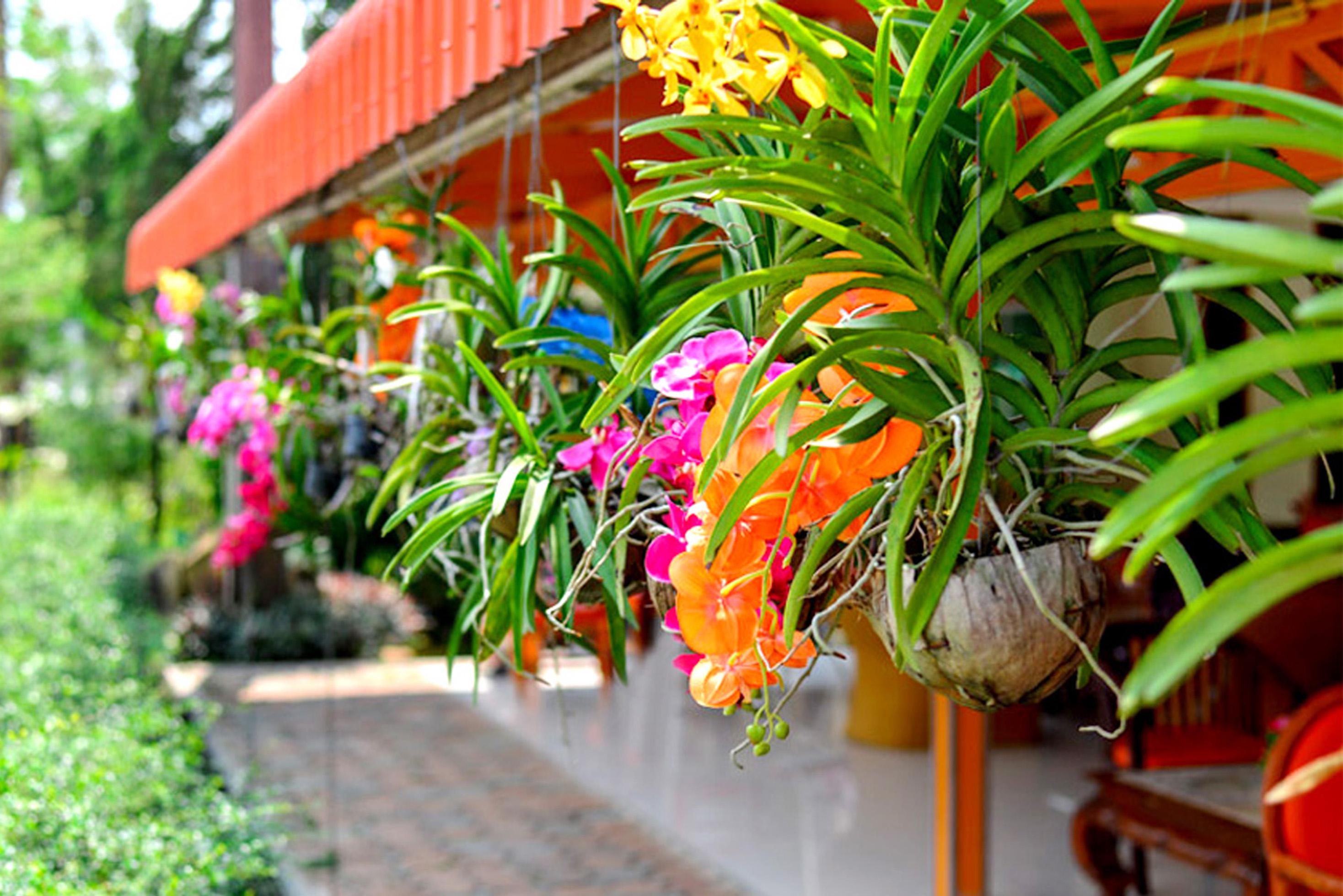 Koh Chang Resort Exterior foto